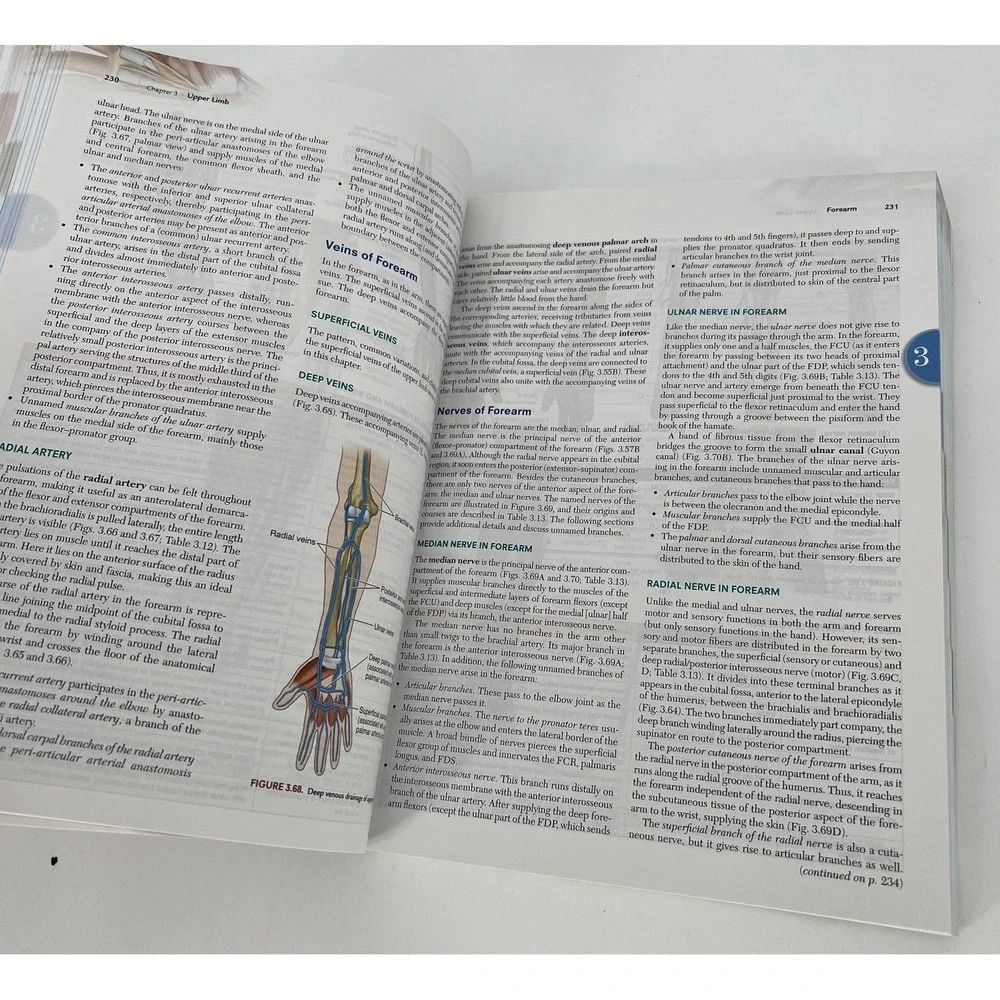 Clinically Oriented Anatomy Eighth Edition Moore Anatomy Textbook